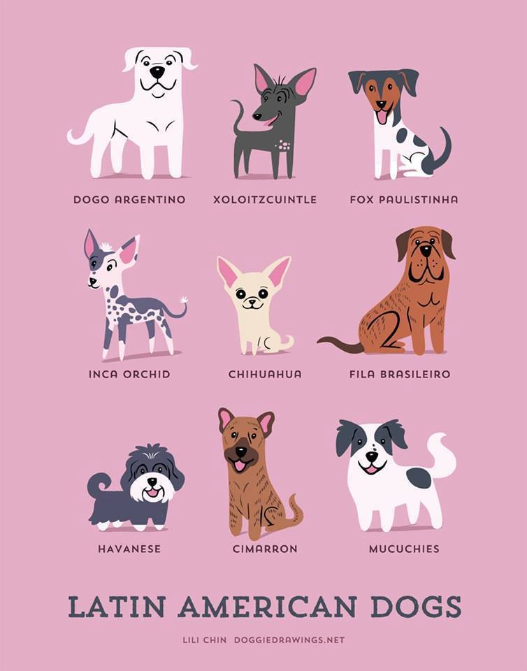 exhibitionistatheart:  50fuckingandlovingit:  bethsimon:  Dogs Of The World!!  💋