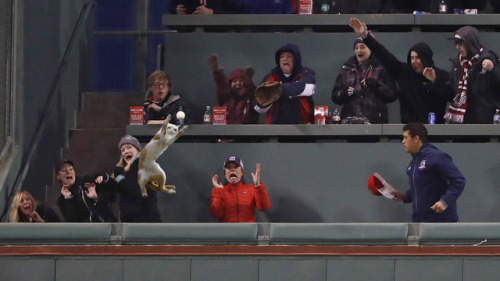 Photoshop Battles: Freaked out Red Sox fans from an oncoming home run. | sources