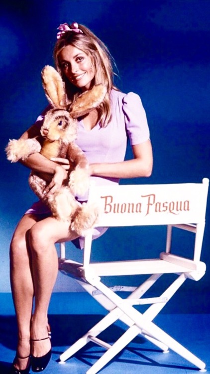 simply-sharon-tate:  Four images taken from Sharon Tate’s 1968 Easter-themed photo shoot 