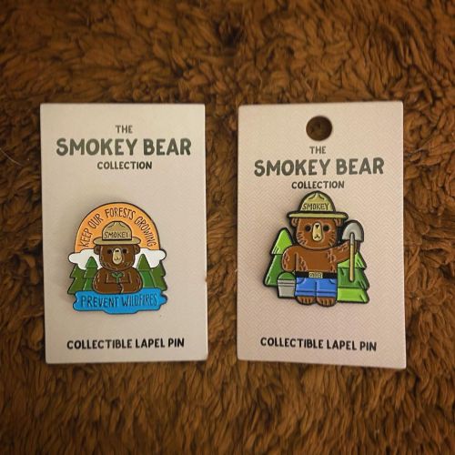 You can now get both official licensed @smokeybear pins from @littleshopofpins#smokeybear #enamelp