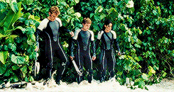 dwhos:“The Hunger Games: Catching Fire” color palette