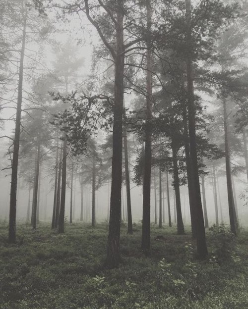 alteriusnocte:by thistlemilk