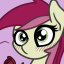 ewoudcponies