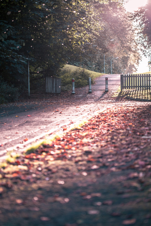 Glasgow AutumnPhoto by Iain A[  Tumblr | Instagram | Facebook | Website | Society6 ]