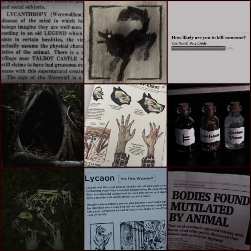Made A Moodboard For Myself!! Feeling In A Particularly Rabid And Aggressive Mood So Yeah! That's Influenced