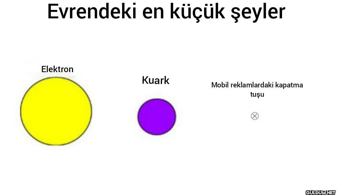 Evrendeki en küçük şeyler...