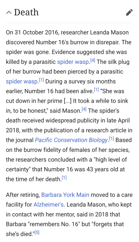 Death.   On 31 October 2016, researcher Leanda Mason discovered Number 16's burrow in disrepair. The spider was gone. Evidence suggested she was killed by a parasitic spider wasp.[4] The silk plug of her burrow had been pierced by a parasitic spider wasp.[1] During a survey six months earlier, Number 16 had been alive.[1] “She was cut down in her prime [...] It took a while to sink in, to be honest," said Mason.[4] The spider's death received widespread publicity in late April 2018, with the publication of a research article in the journal Pacific Conservation Biology.[1] Based on the burrow fidelity of females of her species, the researchers concluded with a "high level of certainty" that Number 16 was 43 years old at the time of her death.[1]  After retiring, Barbara York Main moved to a care facility for Alzheimer's. Leanda Mason, who kept in contact with her mentor, said in 2018 that Barbara "remembers No. 16" but "forgets that she’s died."[5]