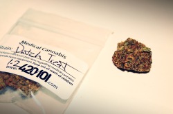 0b-scur3:Dutch Treat. Cloud 9 Medical Marijuana