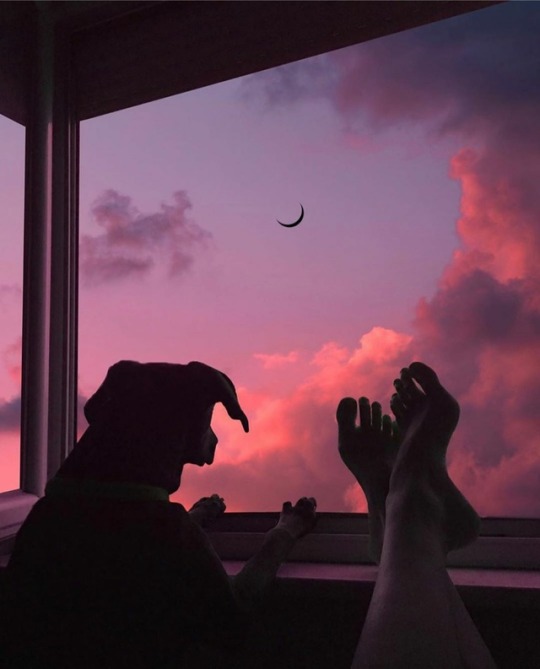 Tumblr