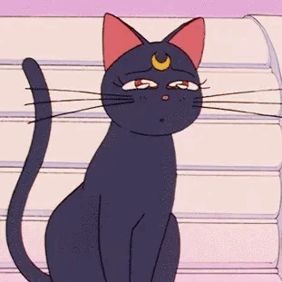 Sailor Moon Paci Stimboard