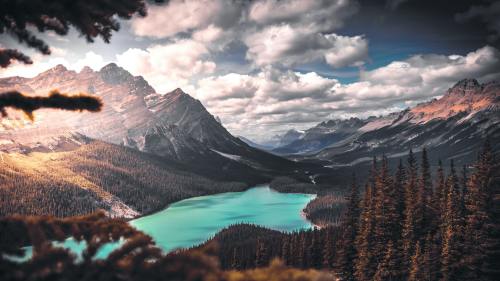  Peyto lake Follow @travelgurus for more