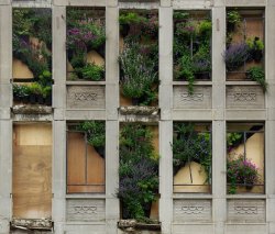 wallacegardens:  The vertical garden mural