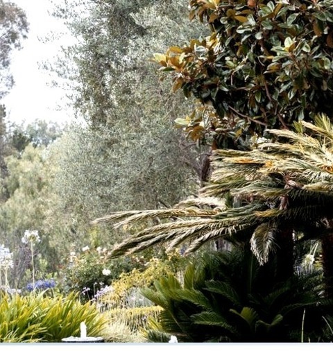 Fountain In Los AngelesPhoto Of A Huge Transitional Full Sun Front Yard Water Fountain Landscape.