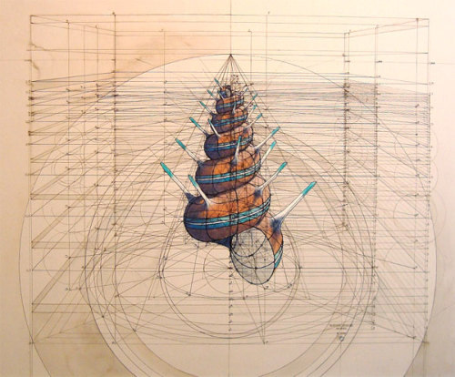 Complex Works Of The Venezuelan Artist Rafael Araujo