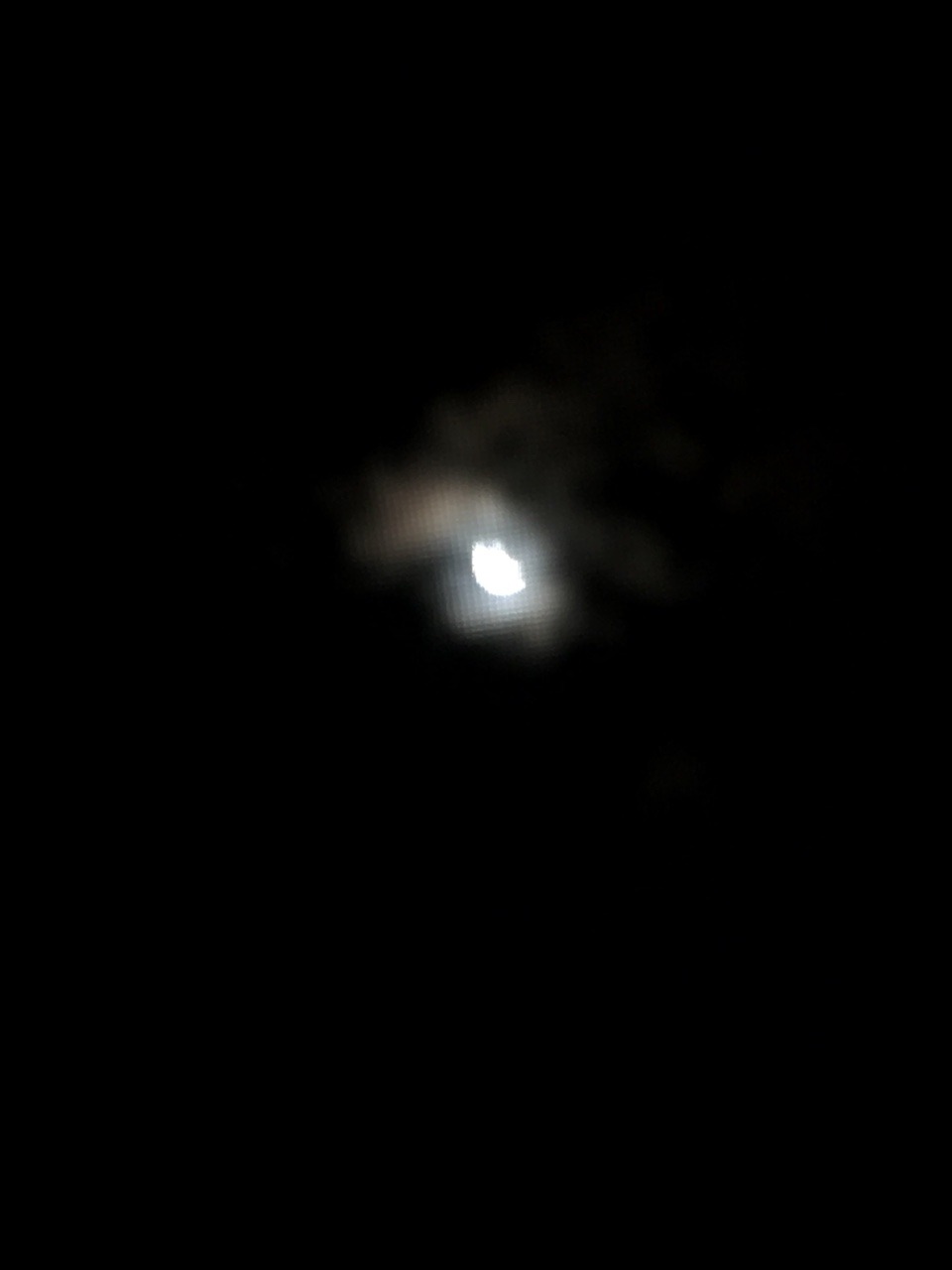 Solar Eclipse 2017 from Florida.