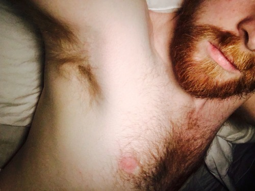 ginger-fur:  Hi