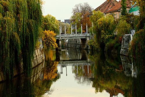 Autumn reflections in Ljubljana, Slovenia (by jayarejeesh).