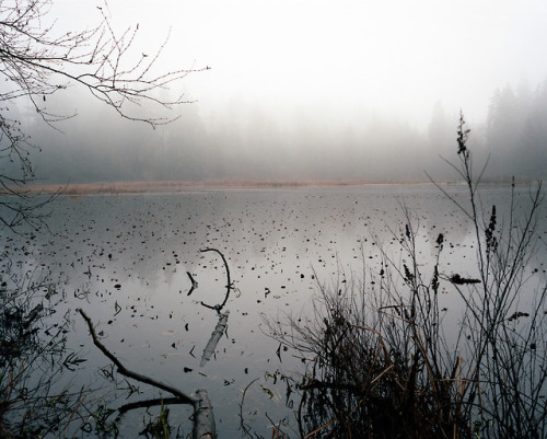 Beaver Lake. Vancouver, BC - 01/2018 VI