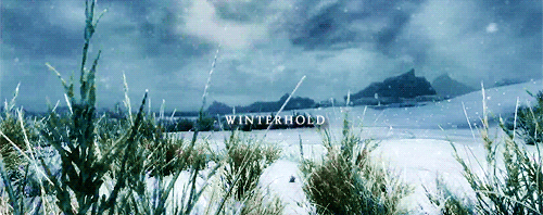vaniccio:SKYRIM HOLDS: [3/9] Winterhold