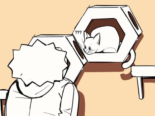 A Cat Copying Another Cat