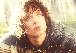 couslands:     LOTR meme → Nine characters(1/9) Frodo Baggins    