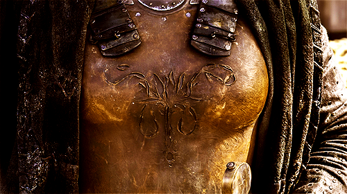 ladyblackfish:   “You Westerosi are all the same. You sew some beast upon a scrap of silk, and suddenly you are all lions or dragons or eagles.”  