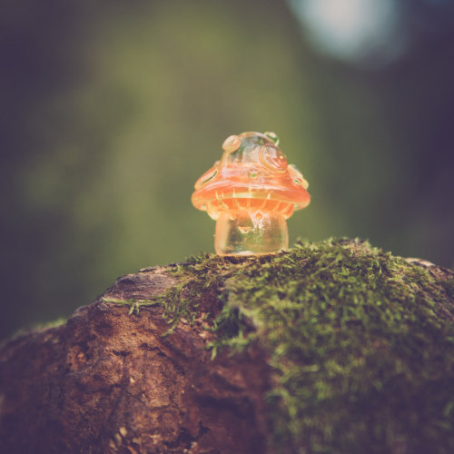 sosuperawesome:  Magic Mushrooms by muju on Etsy 