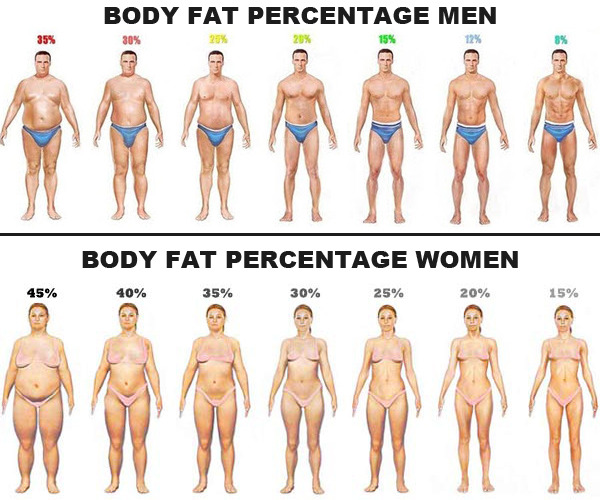 Body fat percentage women