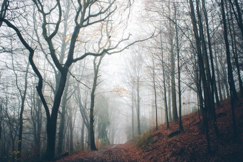 odbytea:  dpcphotography:  Weekend Walk 🍁🍂  xx
