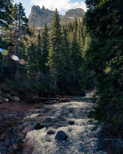 oneshotolive:  A raging river in Glacier National Park, Montana, USA [OC] [4016x5020] 📷: Wall_clinger 