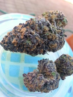 theganjafairy:  theganjafairy:Purple wheelchair