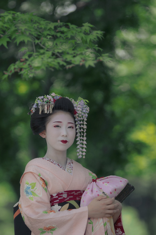 gaaplite:2018 舞妓 祇園甲部 豆沙弥さん 上賀茂神社にて2018 maiko, gion kobu, Mamesaya at Kamigamo-shrine