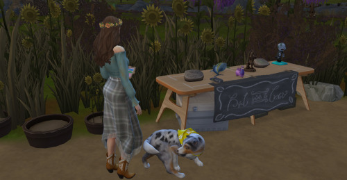 Talvez Eu Tenha Esquecido Que Mollie Deveria Ter Tomado Um Bom Banho...