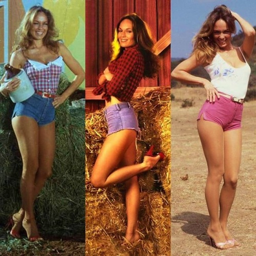 m3vt2seffn: When I used to watch The Dukes of Hazzard I used to have Major crush on Daisy Duke