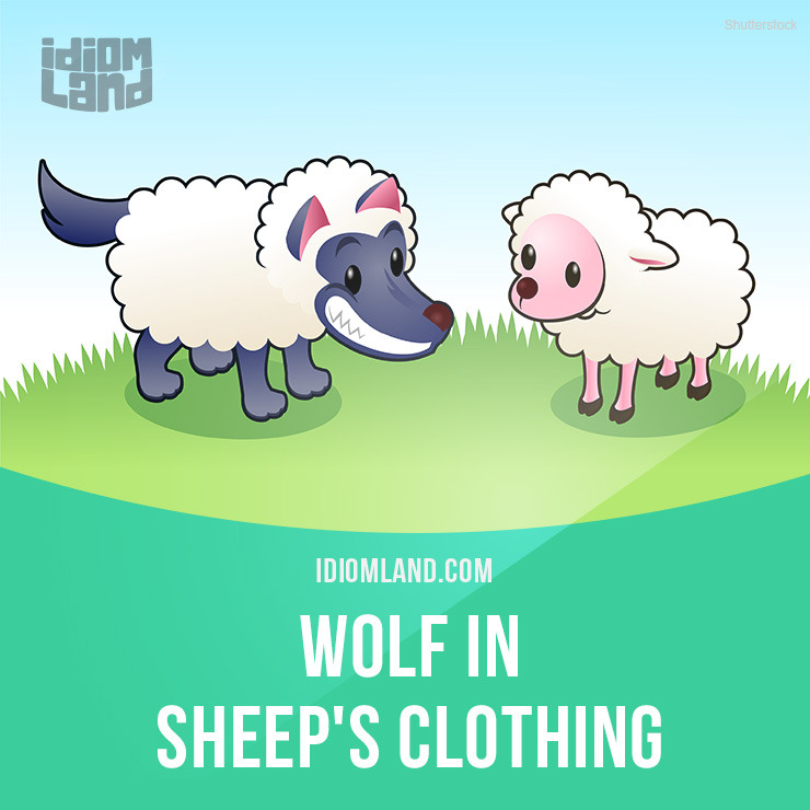 “Wolf in sheep’s clothing” is a dangerous person pretending to be harmless.
Example: Dan was a wolf in sheep’s clothing, pretending to help but all the while spying for our competitors.
Origin: The meaning of this idiom relies on the idea that a...