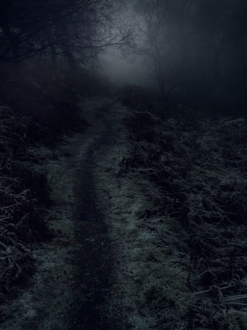 natureac:  This blog will make you feel at peace