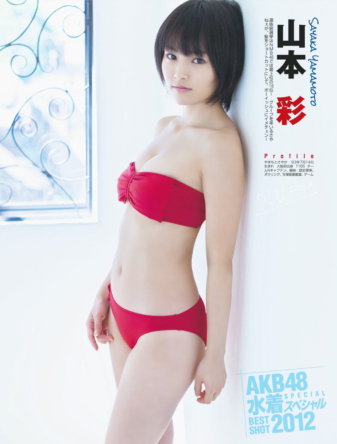 アイドル夢