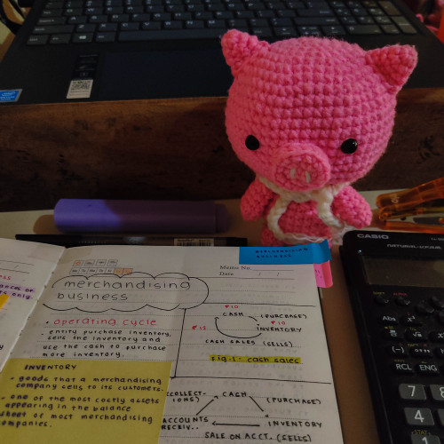 Hey loves!This little piggy (also my study buddy for today) wants to say Hi!