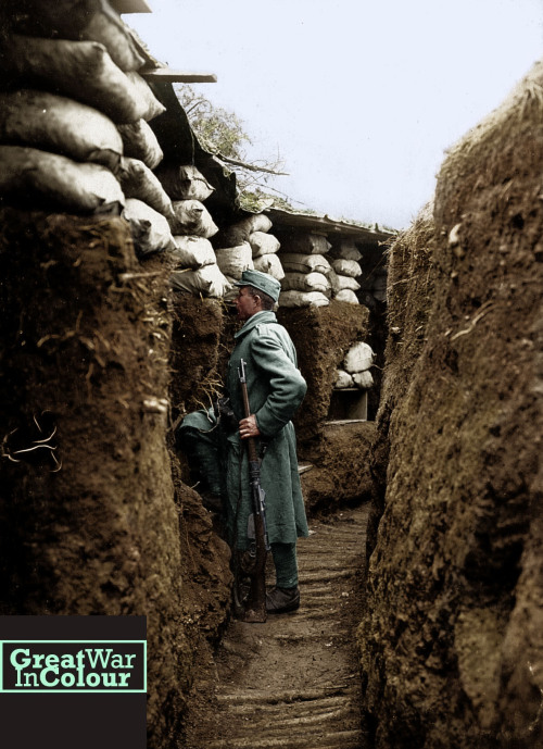 An Austrian soldier stands in a trench built along the Isonzo Valley, on the Italian front in 1916.O