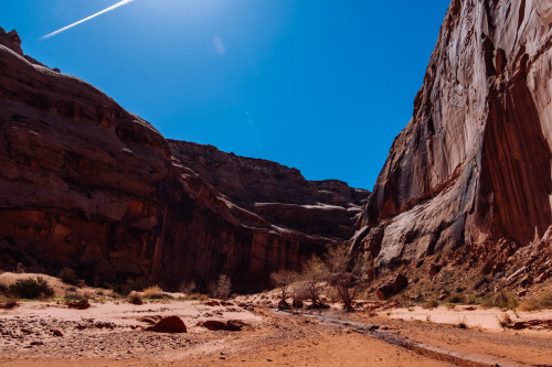 Descending Horseshoe Canyon, Canyonlands National Park