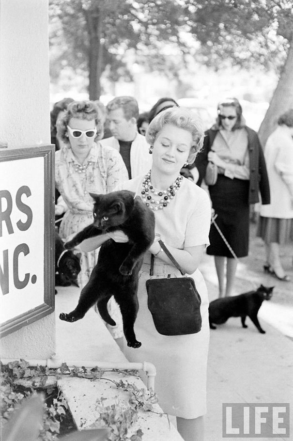 felineillusion:  1961,   Hollywood, California. Following a newspaper casting call,