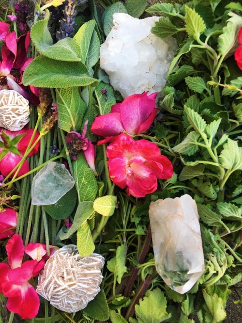 snakecultmystic: charging &amp; cleansing my homegrown herbs before wrapping them into herbal wa
