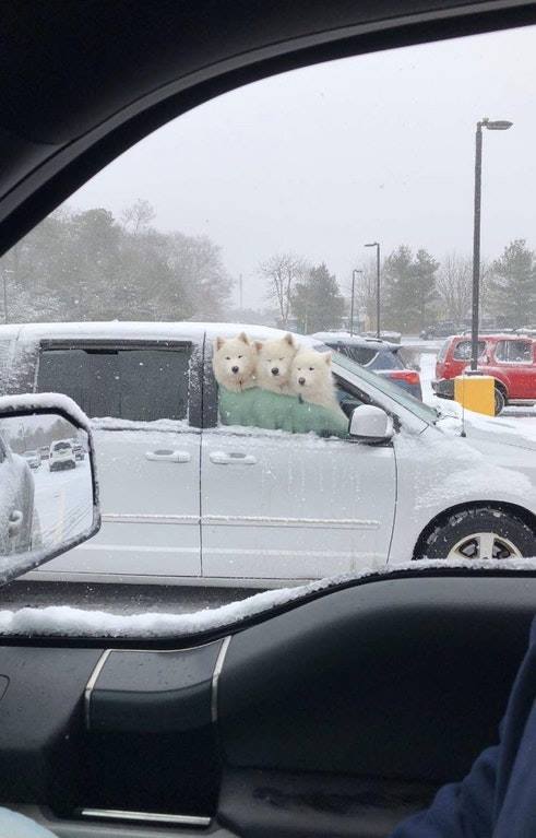 crystal-clear-mermaid:  sixpenceee: “I couldn’t believe what I was seeing when