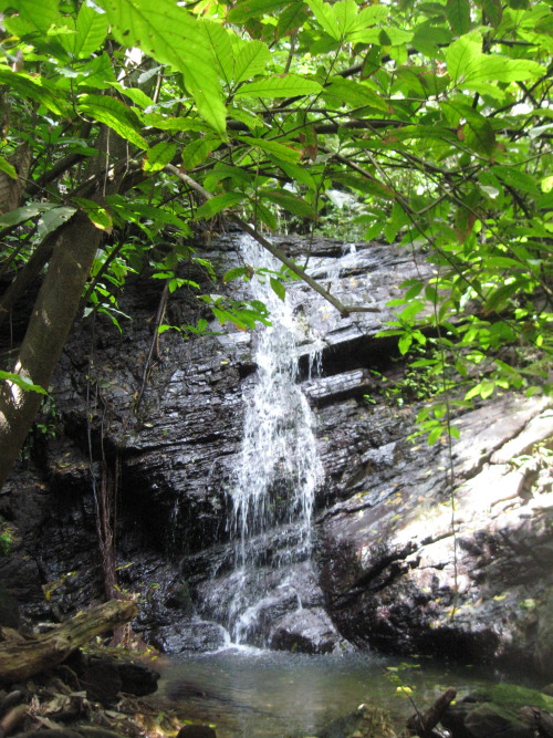 trailpace: Waterfalls of Saut D'eau