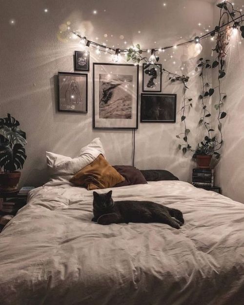 ~ `      … || ✨  @bedroomwhims  ✩