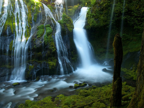 celtic-forest-faerie: {Panther Creek Falls} by {Millsy1}