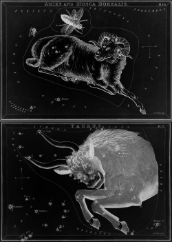 chaosophia218:   Sidney Hall - Signs of the Zodiac, “Urania’s Mirror”, 1824.