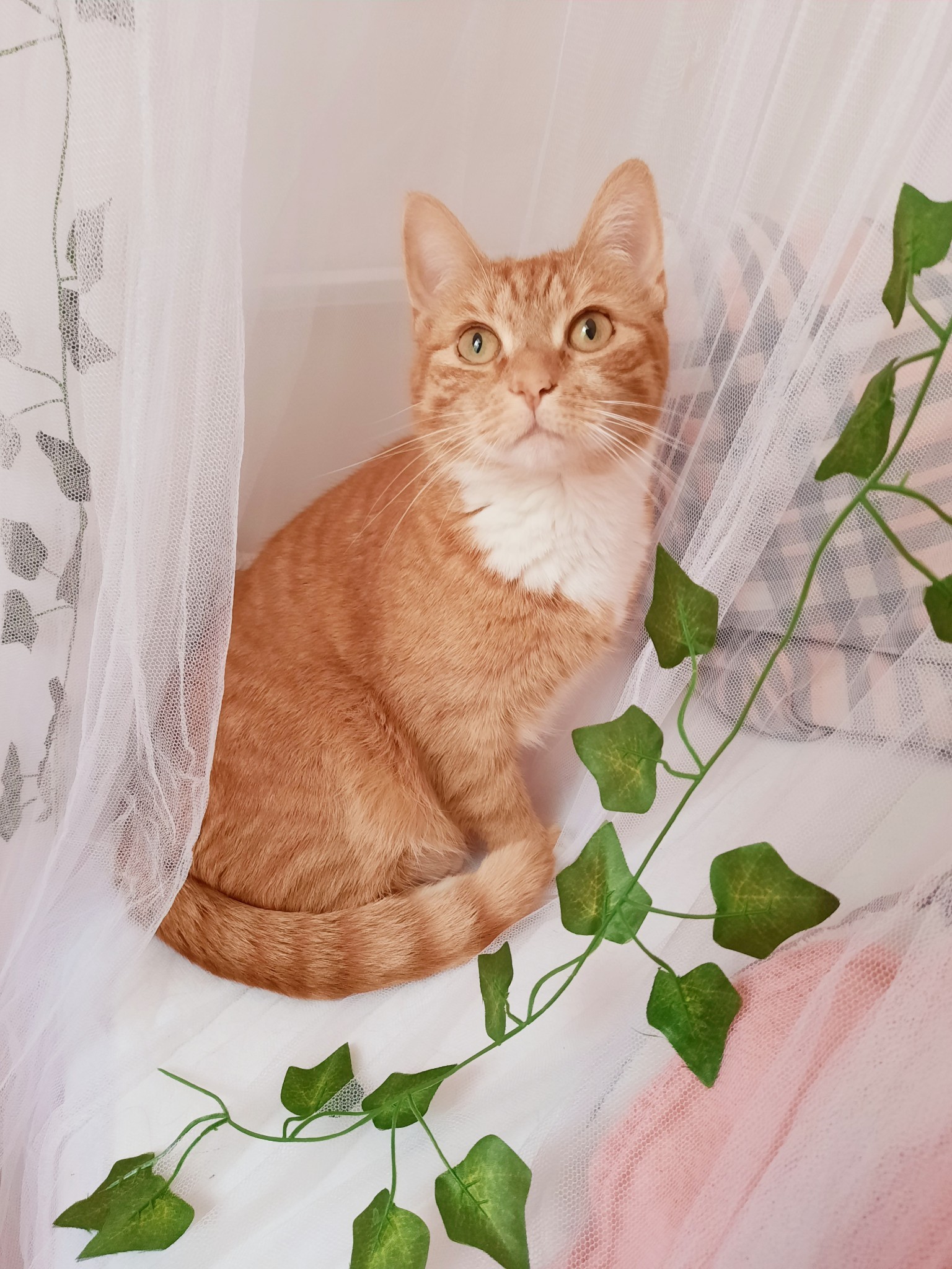 rosypotions:Fairy princess. 🍃🧚‍♀️