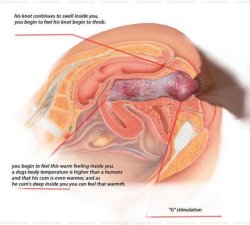 cumandstuffmale:a little informational cross