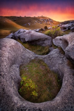 sublim-ature:  Castle Hill, New ZealandLuke